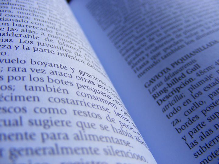 biblioteca 048 copy.jpg